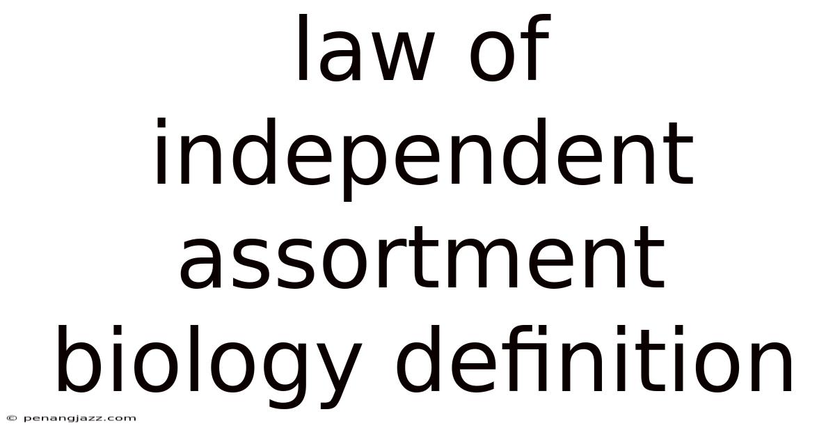 Law Of Independent Assortment Biology Definition
