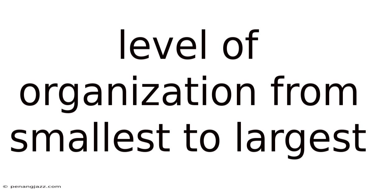 Level Of Organization From Smallest To Largest