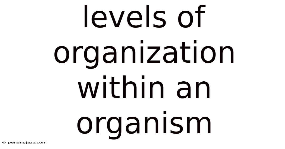 Levels Of Organization Within An Organism