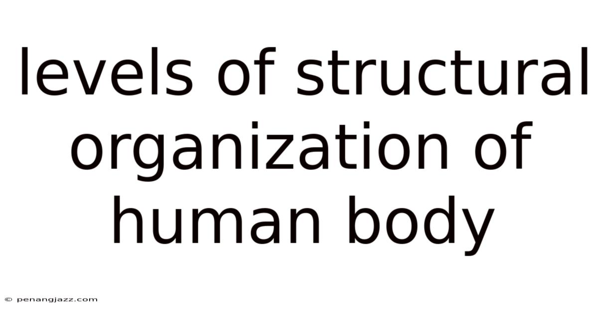Levels Of Structural Organization Of Human Body