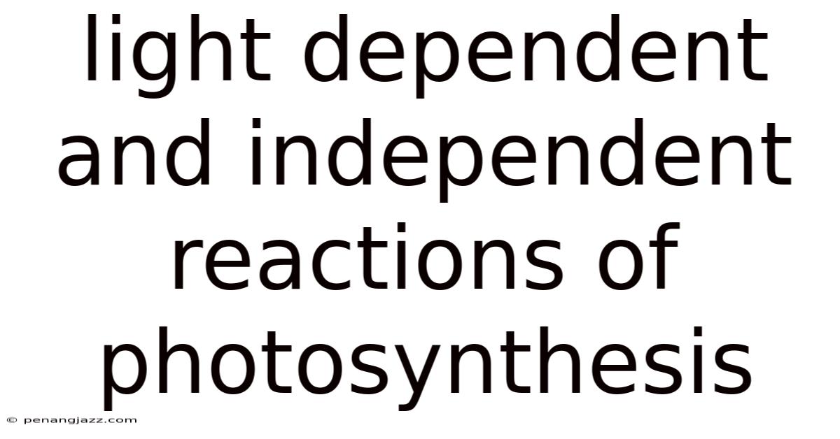 Light Dependent And Independent Reactions Of Photosynthesis
