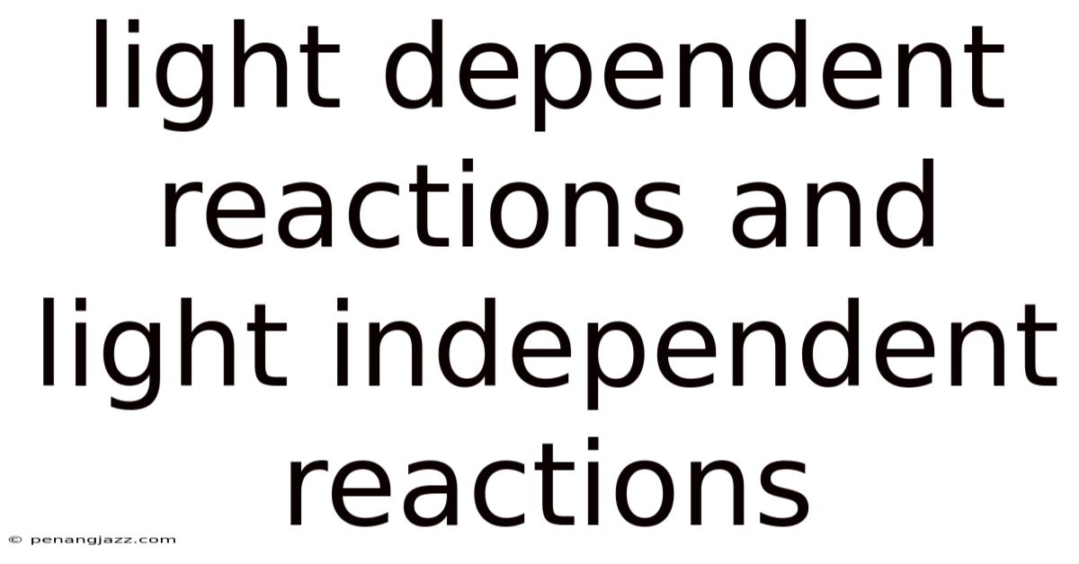Light Dependent Reactions And Light Independent Reactions