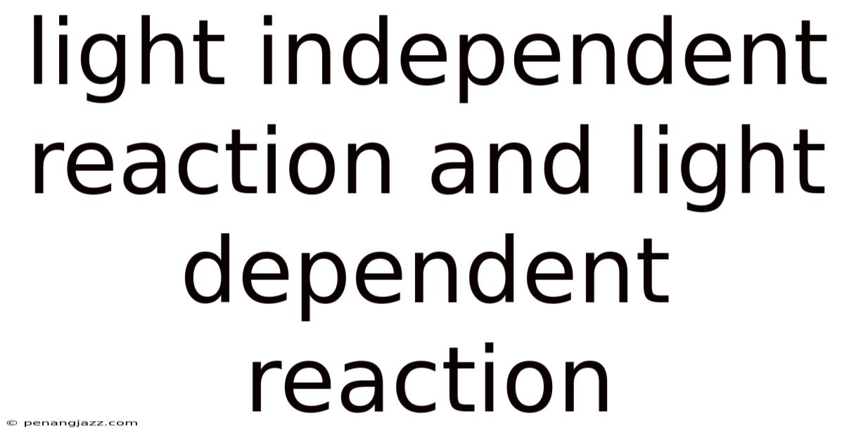 Light Independent Reaction And Light Dependent Reaction