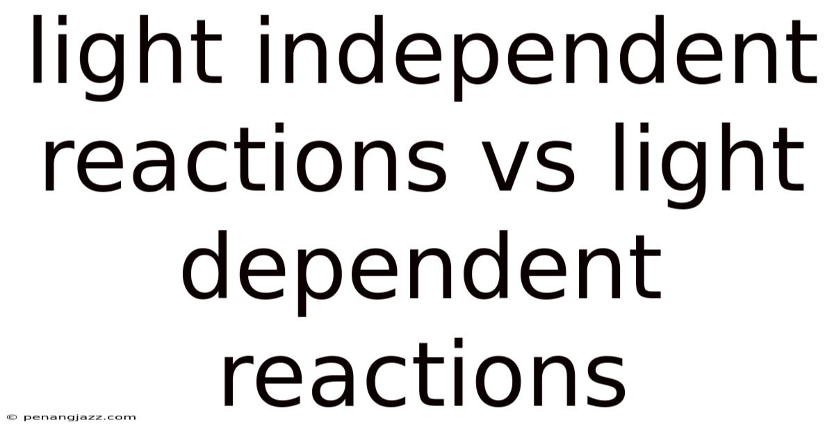 Light Independent Reactions Vs Light Dependent Reactions