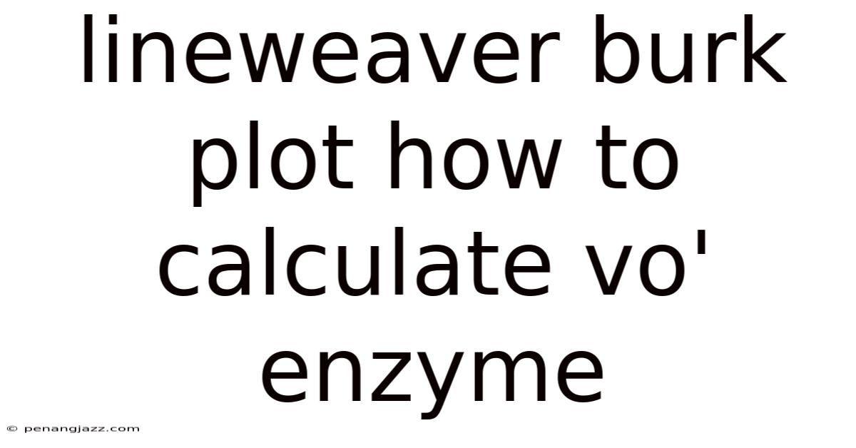 Lineweaver Burk Plot How To Calculate Vo' Enzyme