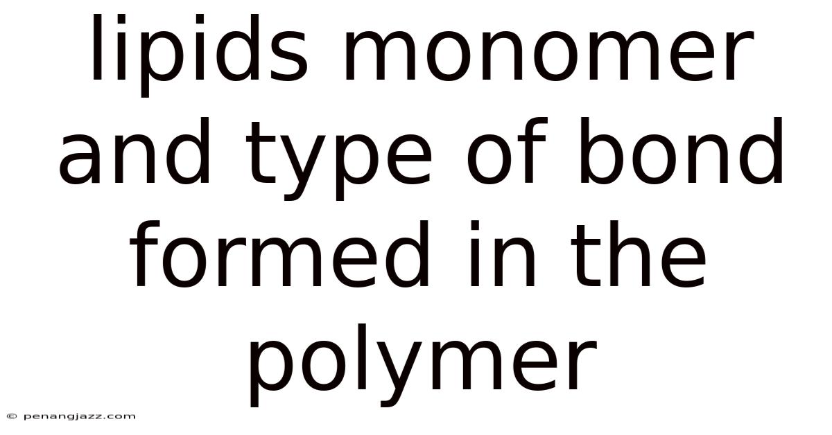 Lipids Monomer And Type Of Bond Formed In The Polymer