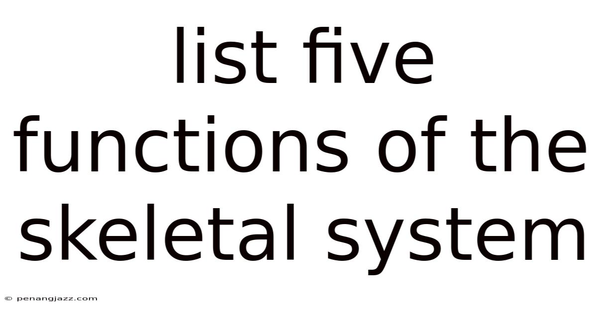 List Five Functions Of The Skeletal System