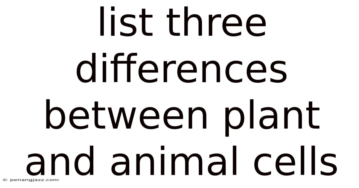 List Three Differences Between Plant And Animal Cells
