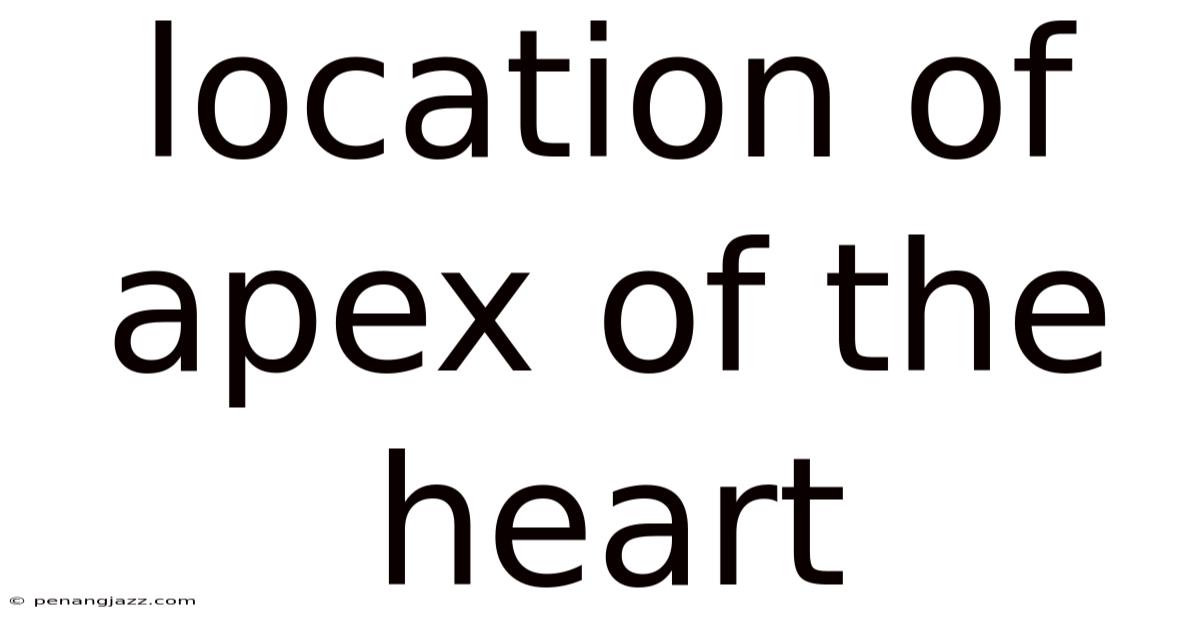 Location Of Apex Of The Heart
