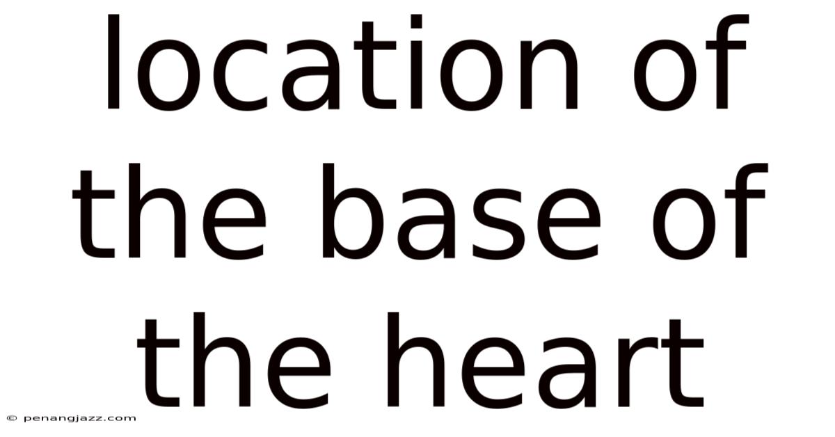 Location Of The Base Of The Heart