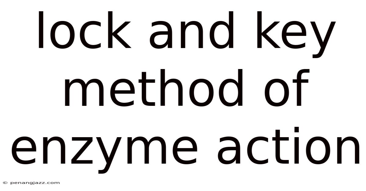 Lock And Key Method Of Enzyme Action