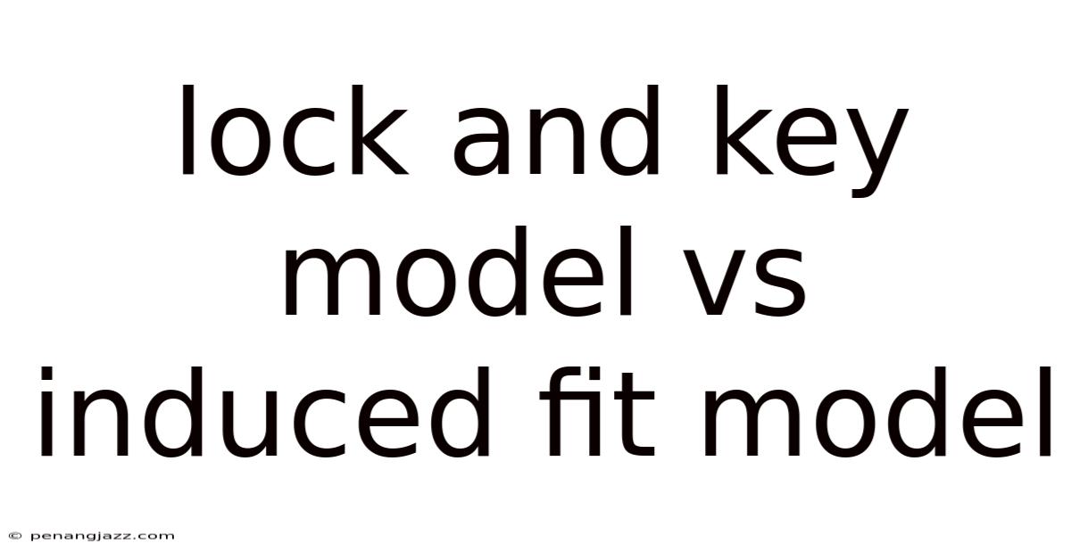 Lock And Key Model Vs Induced Fit Model