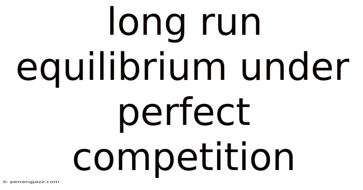 Long Run Equilibrium Under Perfect Competition