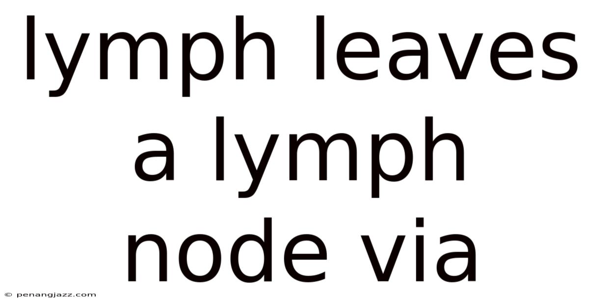 Lymph Leaves A Lymph Node Via