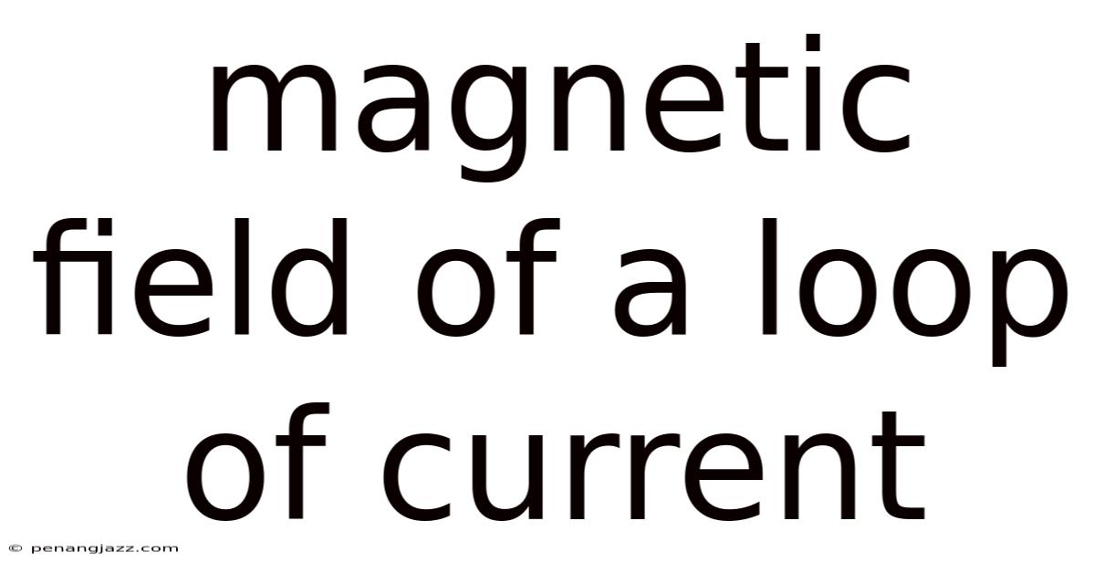 Magnetic Field Of A Loop Of Current