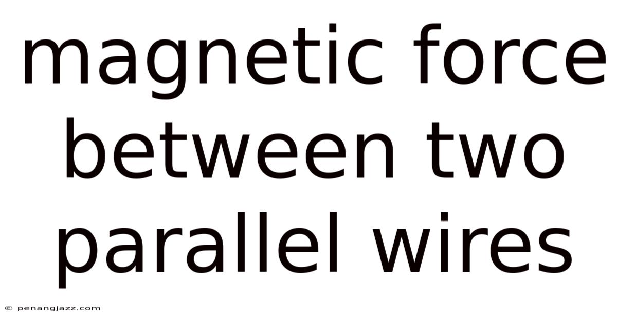 Magnetic Force Between Two Parallel Wires