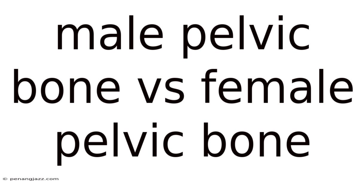Male Pelvic Bone Vs Female Pelvic Bone