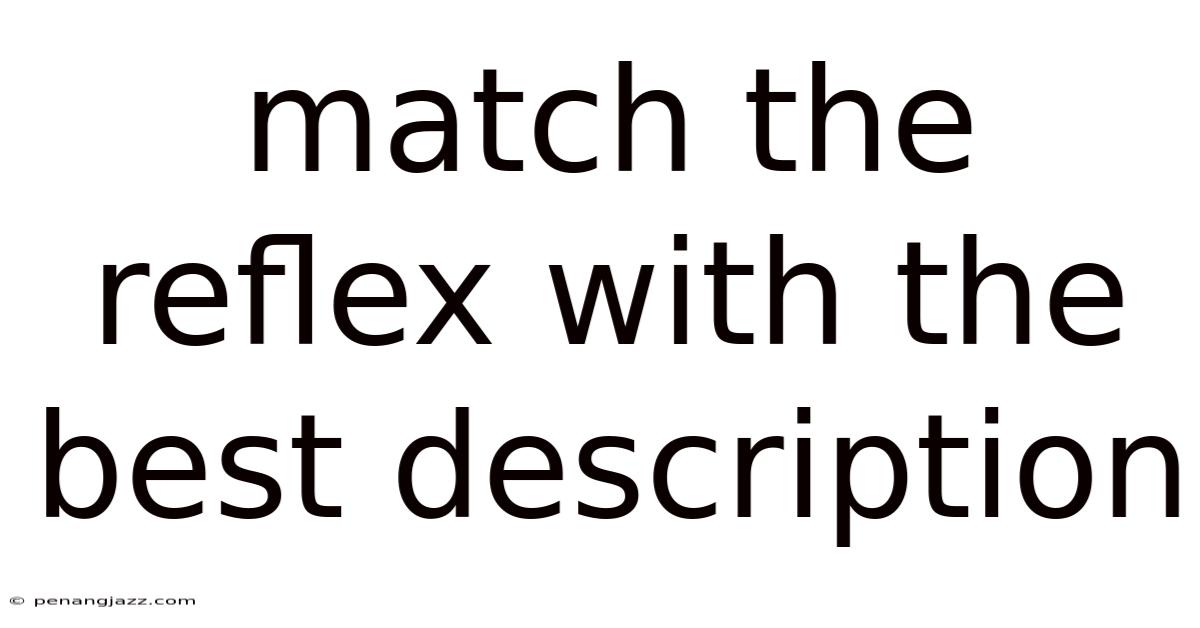 Match The Reflex With The Best Description