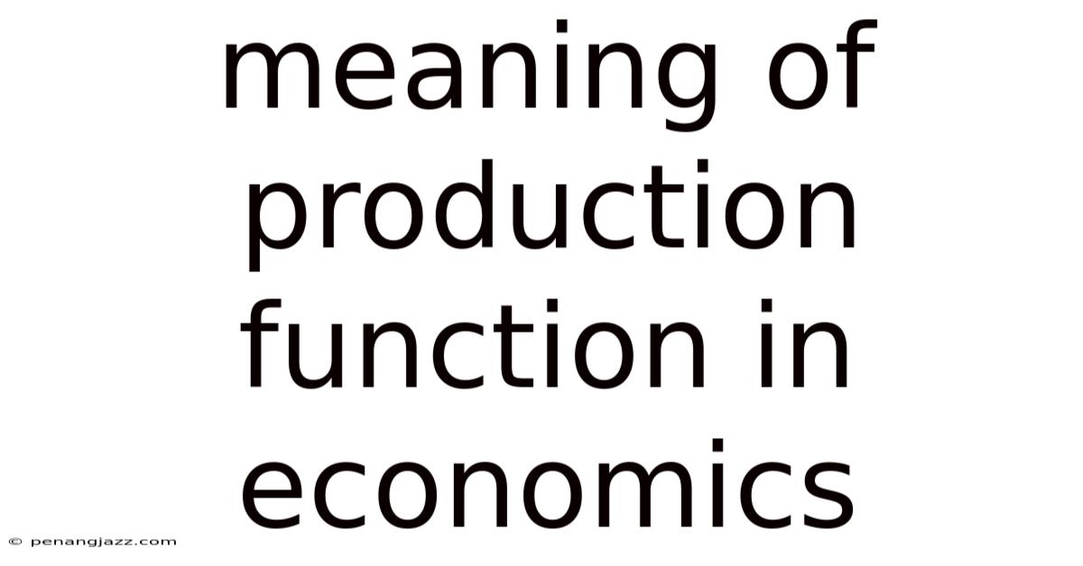 Meaning Of Production Function In Economics
