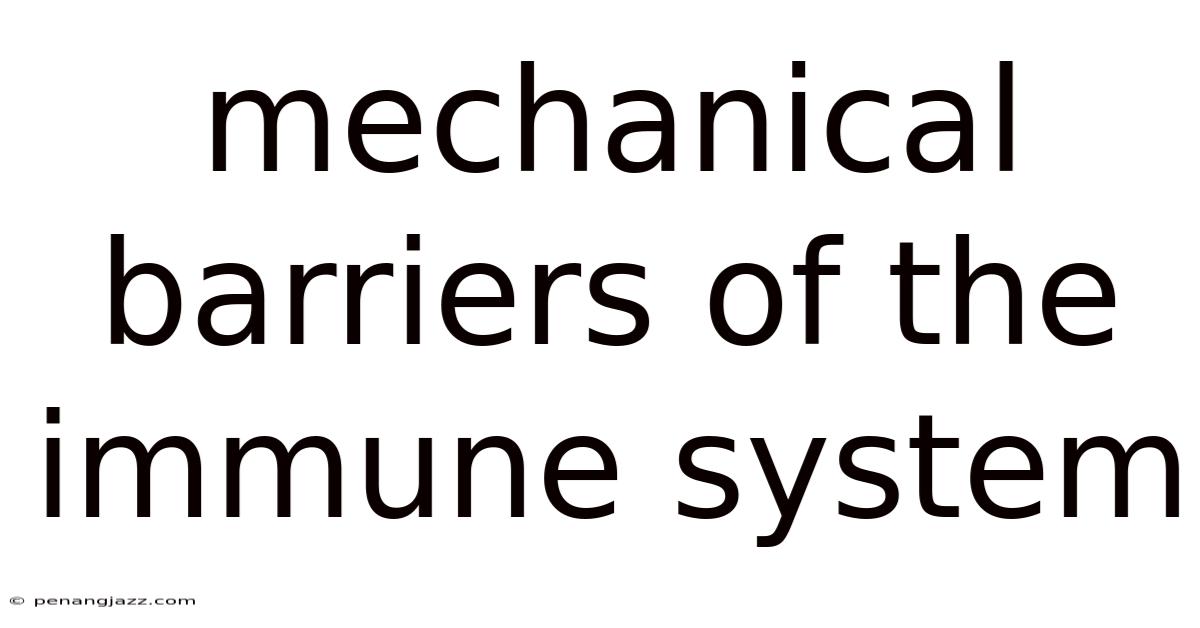 Mechanical Barriers Of The Immune System