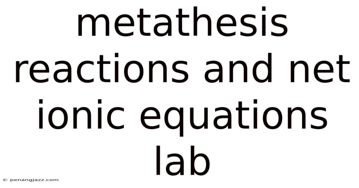 Metathesis Reactions And Net Ionic Equations Lab