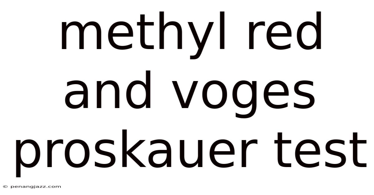 Methyl Red And Voges Proskauer Test