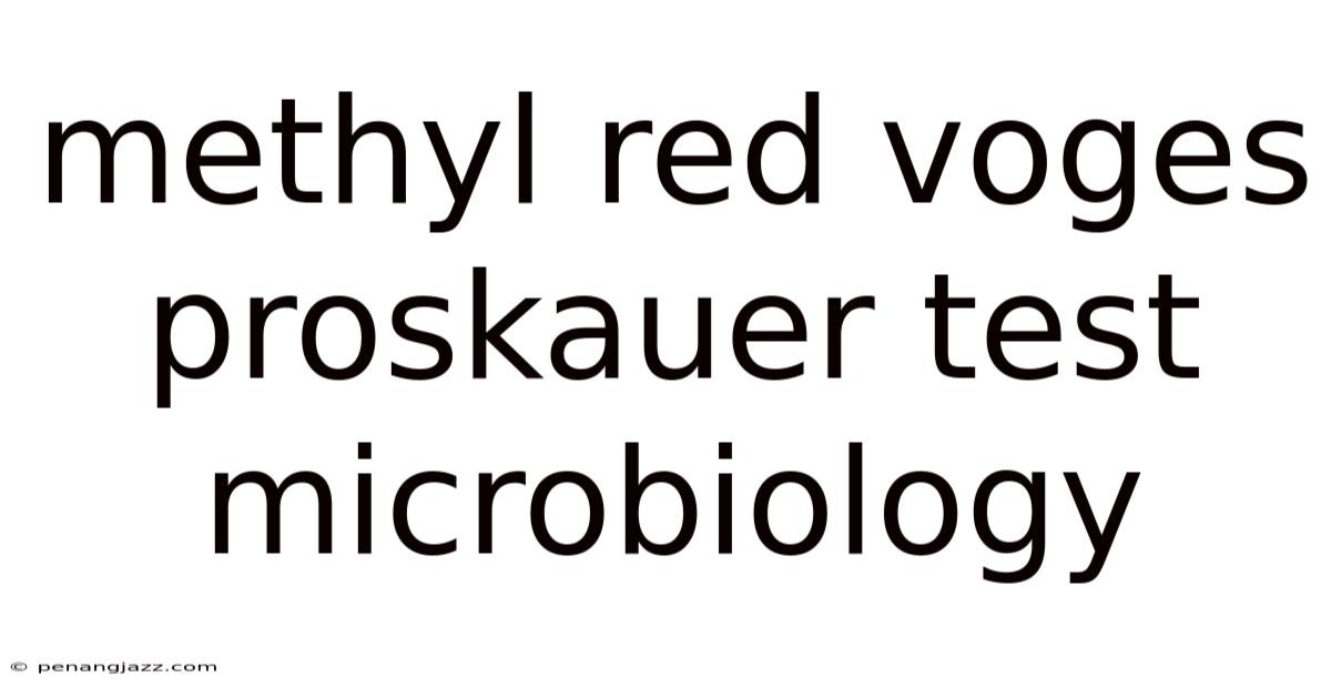 Methyl Red Voges Proskauer Test Microbiology