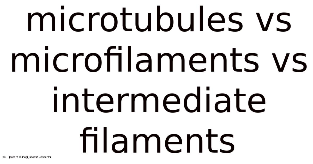 Microtubules Vs Microfilaments Vs Intermediate Filaments