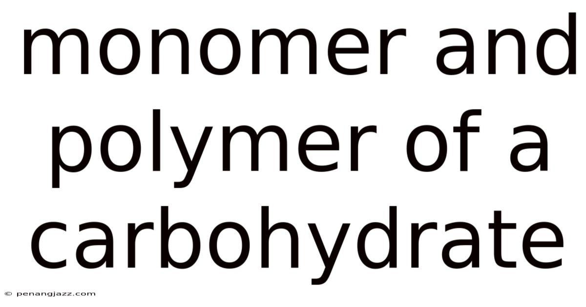Monomer And Polymer Of A Carbohydrate