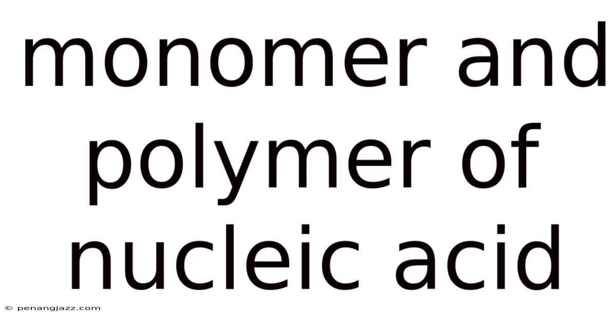 Monomer And Polymer Of Nucleic Acid