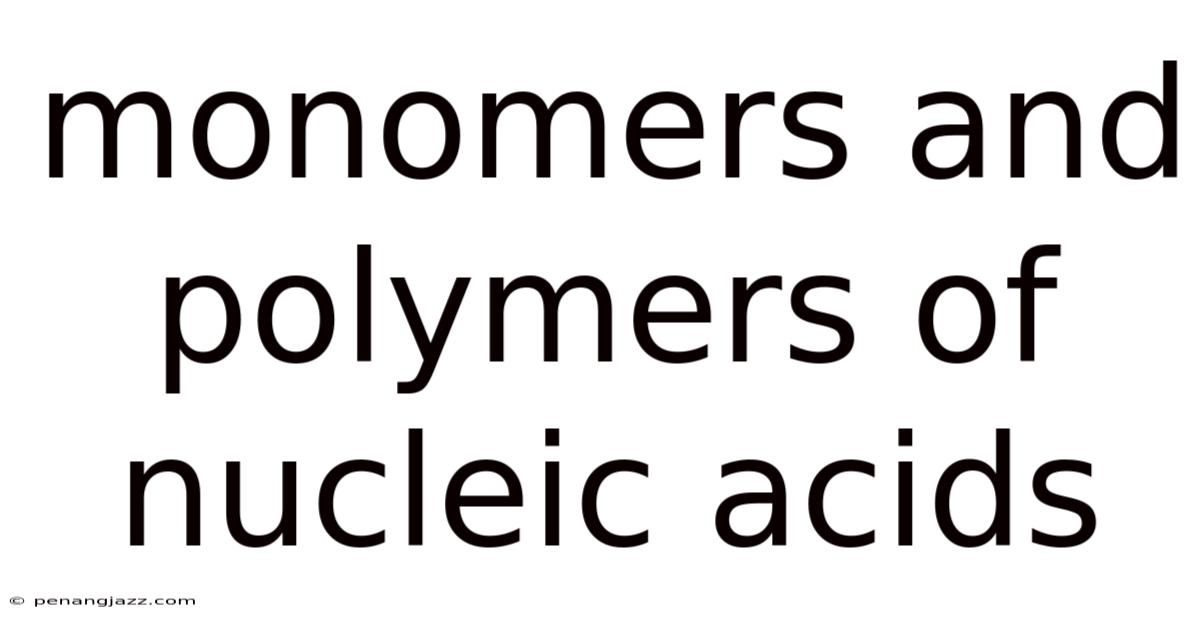Monomers And Polymers Of Nucleic Acids