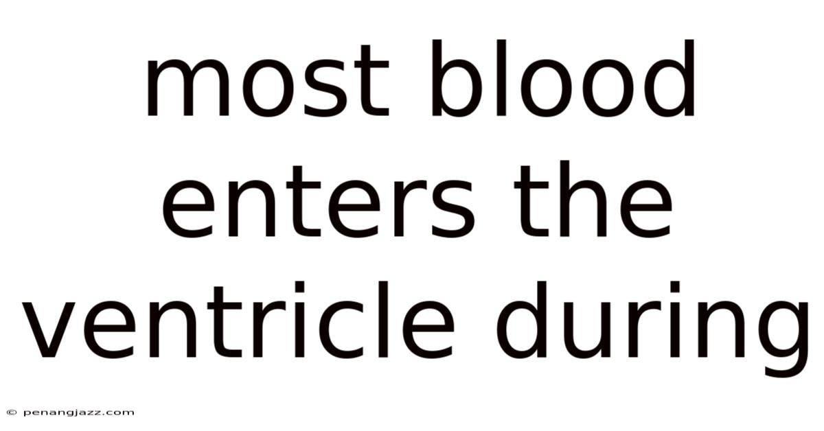 Most Blood Enters The Ventricle During