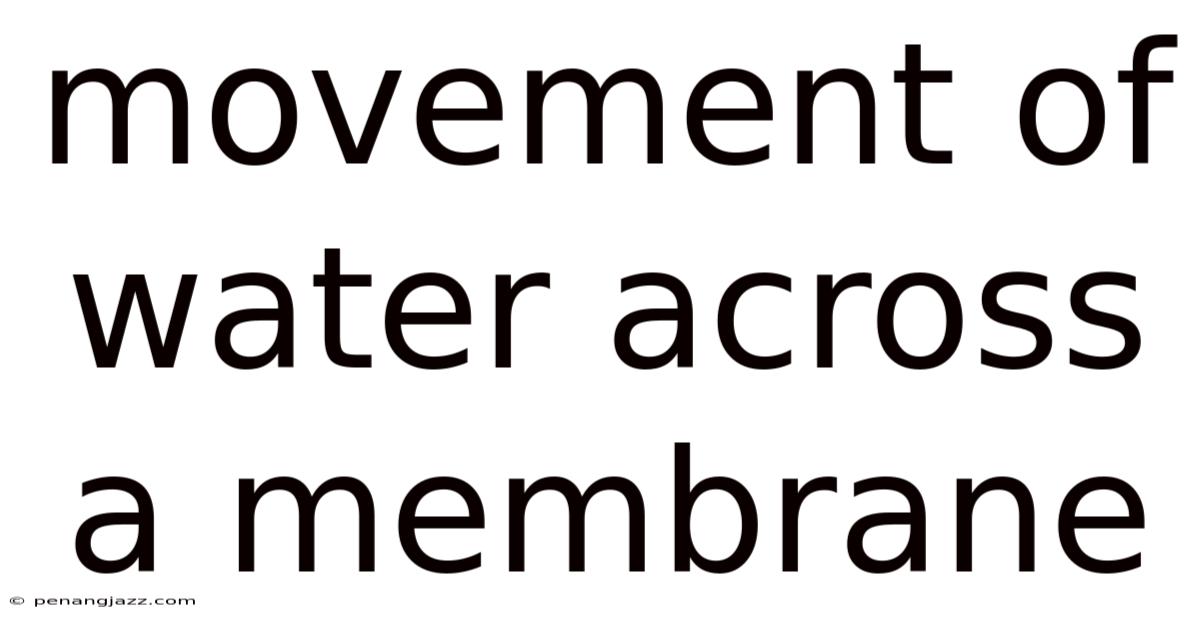 Movement Of Water Across A Membrane