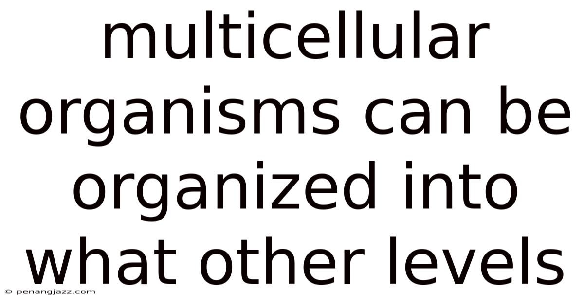 Multicellular Organisms Can Be Organized Into What Other Levels
