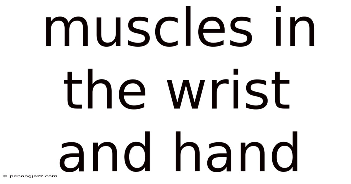 Muscles In The Wrist And Hand