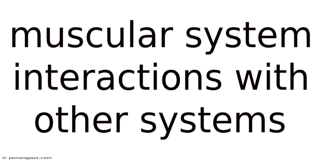 Muscular System Interactions With Other Systems