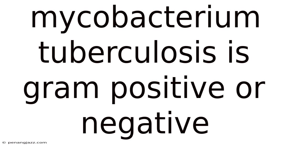 Mycobacterium Tuberculosis Is Gram Positive Or Negative