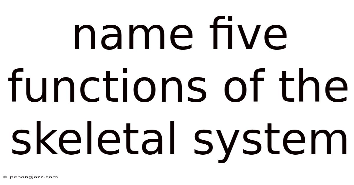 Name Five Functions Of The Skeletal System