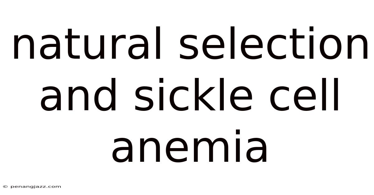 Natural Selection And Sickle Cell Anemia