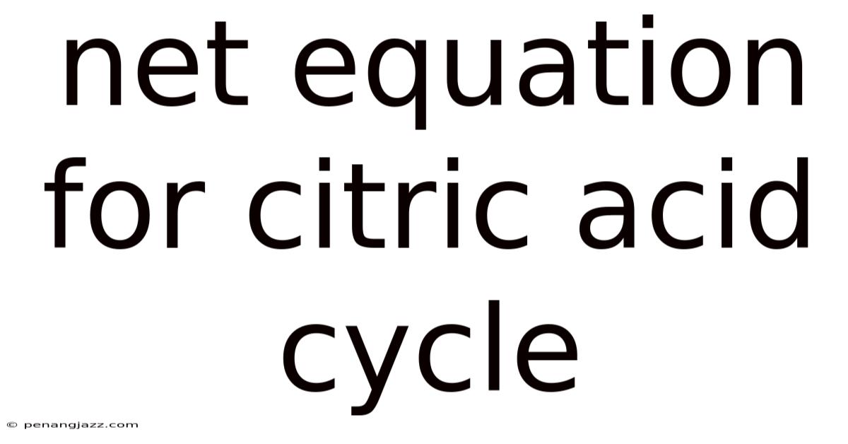 Net Equation For Citric Acid Cycle
