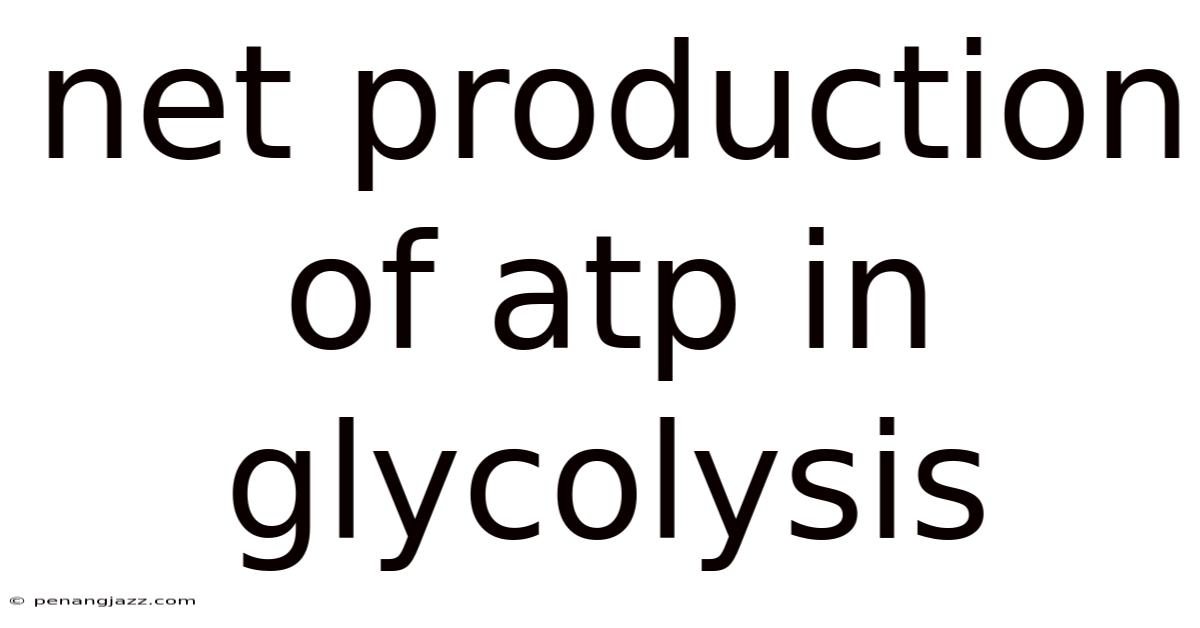 Net Production Of Atp In Glycolysis