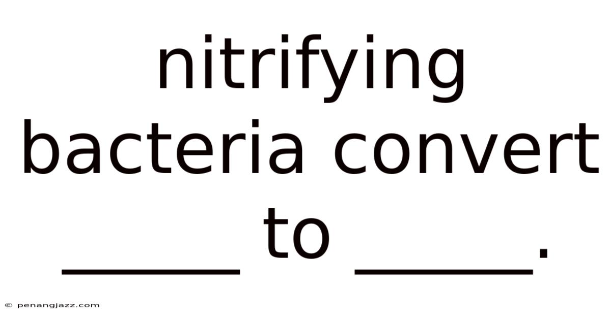 Nitrifying Bacteria Convert _____ To _____.