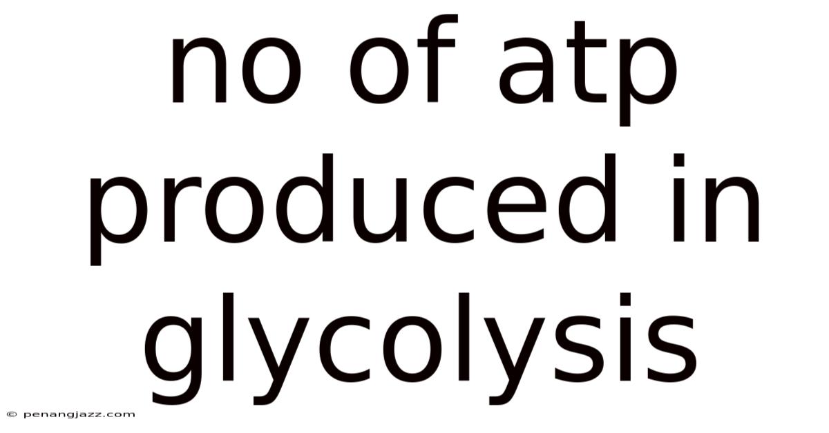 No Of Atp Produced In Glycolysis
