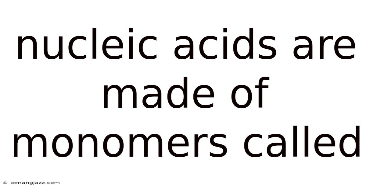 Nucleic Acids Are Made Of Monomers Called