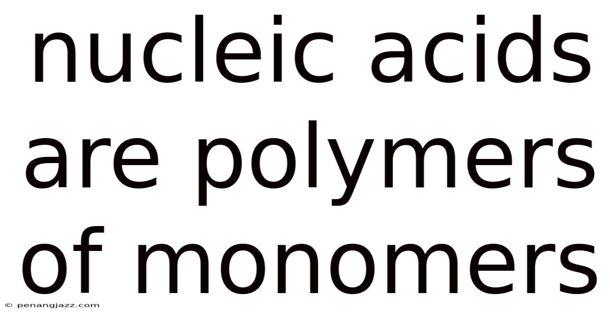 Nucleic Acids Are Polymers Of Monomers