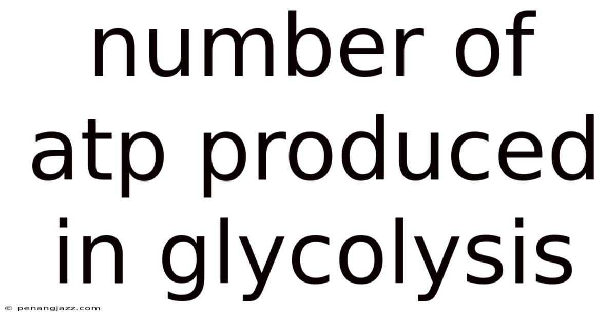 Number Of Atp Produced In Glycolysis