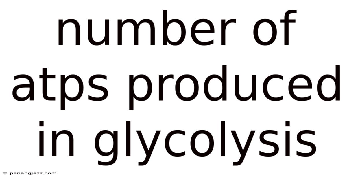 Number Of Atps Produced In Glycolysis