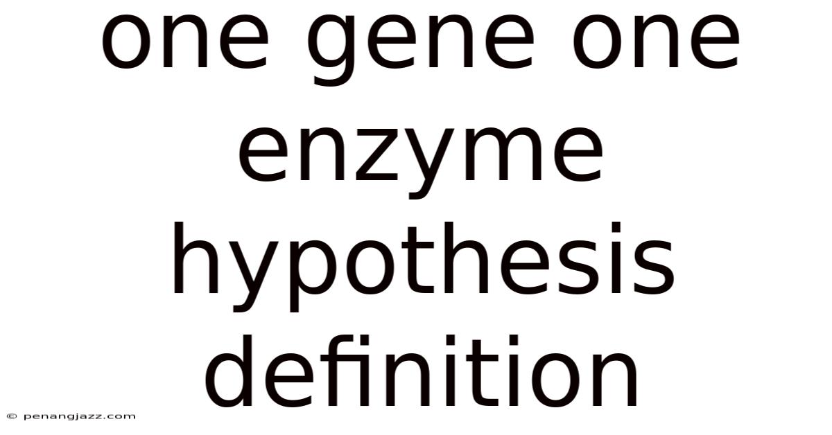 One Gene One Enzyme Hypothesis Definition