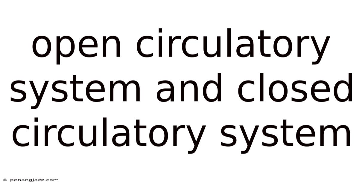 Open Circulatory System And Closed Circulatory System
