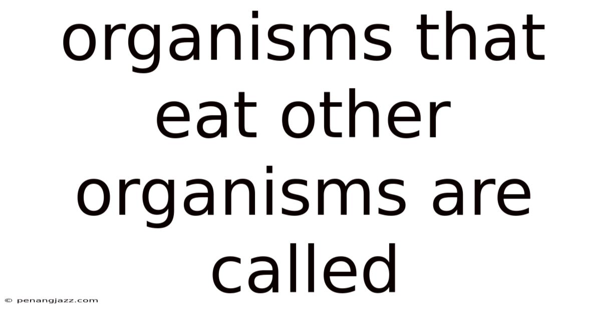 Organisms That Eat Other Organisms Are Called